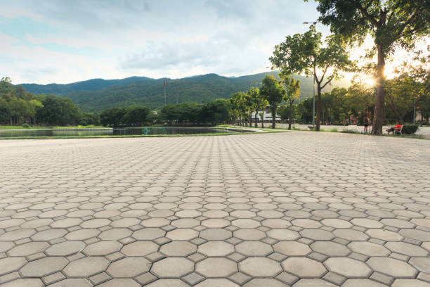Best Decorative Driveway Pavers  in Columbia, TN